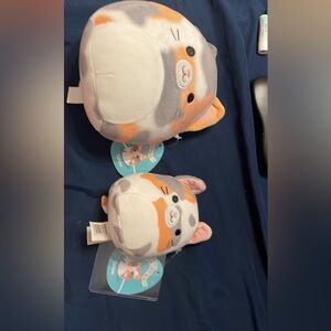 SET 5in and 12in Tahoe the Cat Squishmallows 2022